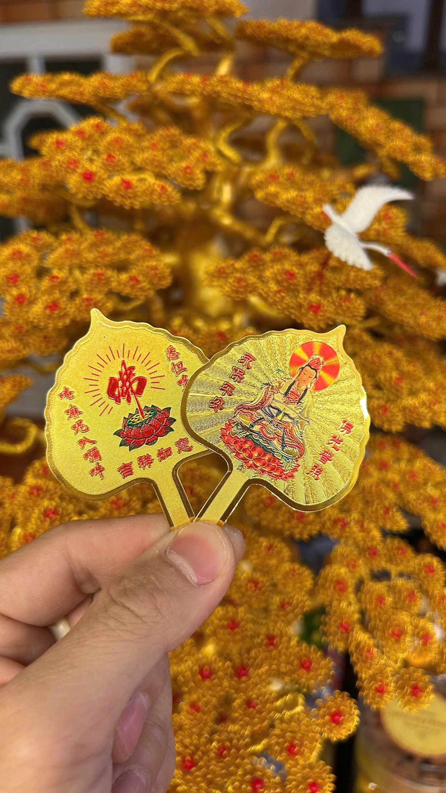 z7596655586018_c406c5f895c7f3b42daa480fe9abbd32